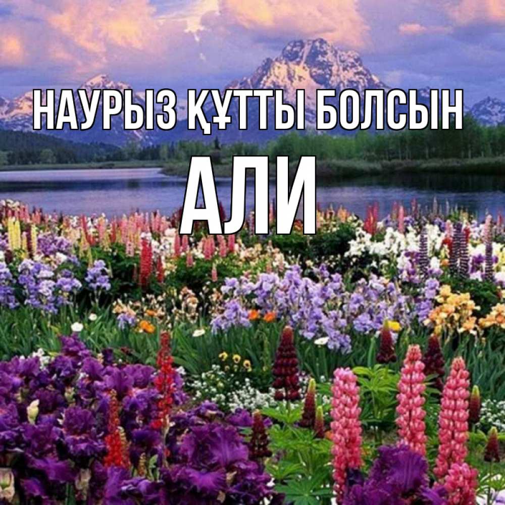 Открытка на каждый день с именем, Али Наурыз құтты болсын наурыз Прикольная открытка с пожеланием онлайн скачать бесплатно 