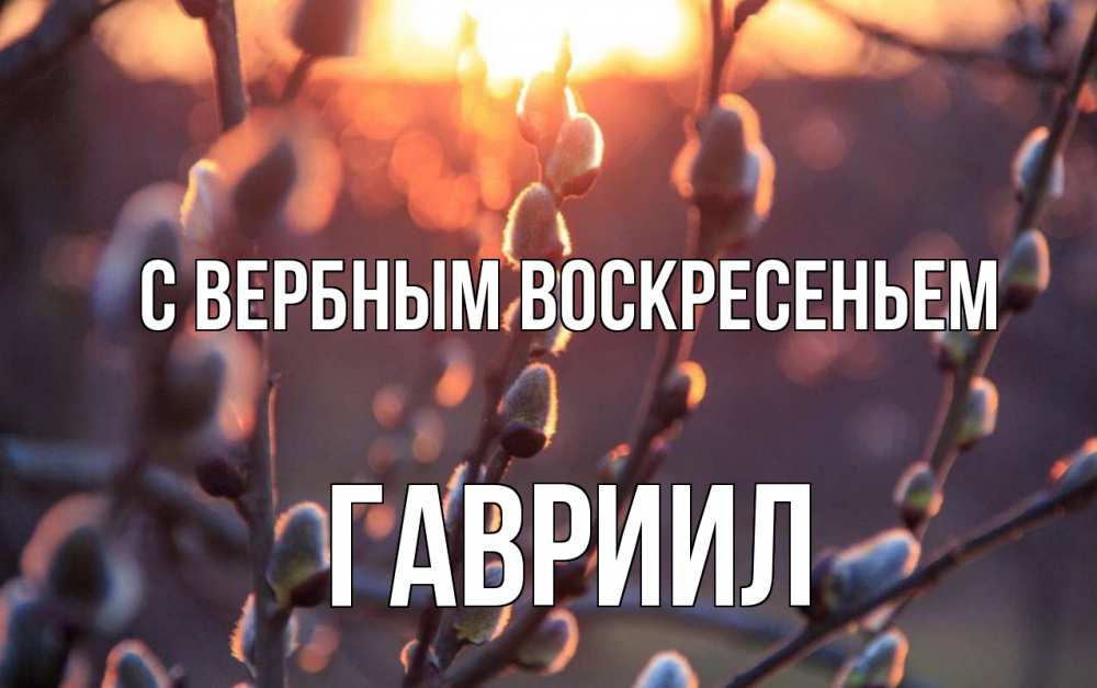 Открытка на каждый день с именем, Гавриил С вербным воскресеньем верба Прикольная открытка с пожеланием онлайн скачать бесплатно 