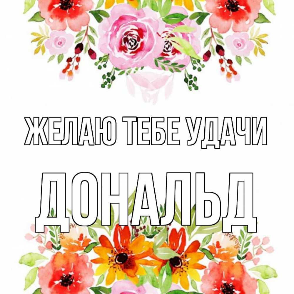 Открытка на каждый день с именем, Дональд Желаю тебе удачи открытка с цветами акварелью Прикольная открытка с пожеланием онлайн скачать бесплатно 