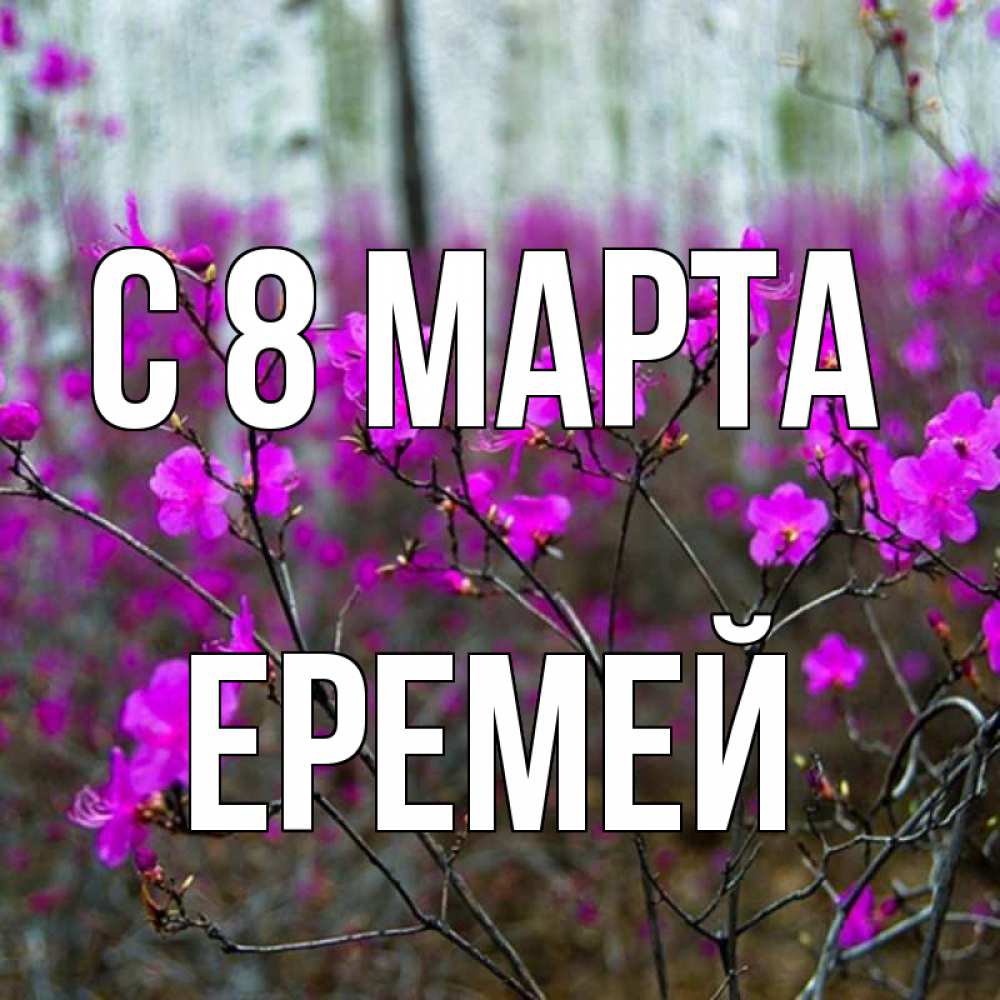 Открытка на каждый день с именем, Еремей С 8 МАРТА дикие цветы Прикольная открытка с пожеланием онлайн скачать бесплатно 