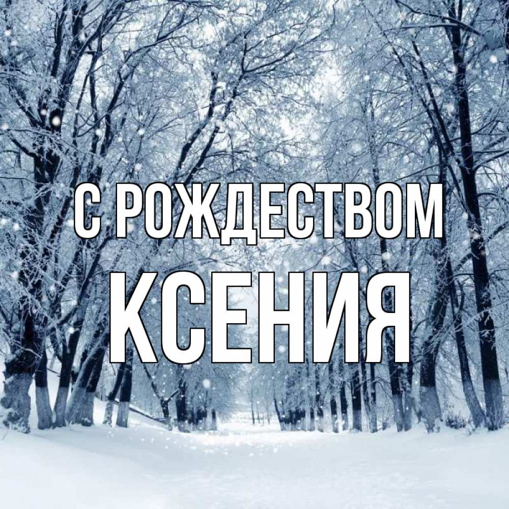 Открытка на каждый день с именем, Ксения С рождеством снег, лес, парк Прикольная открытка с пожеланием онлайн скачать бесплатно 