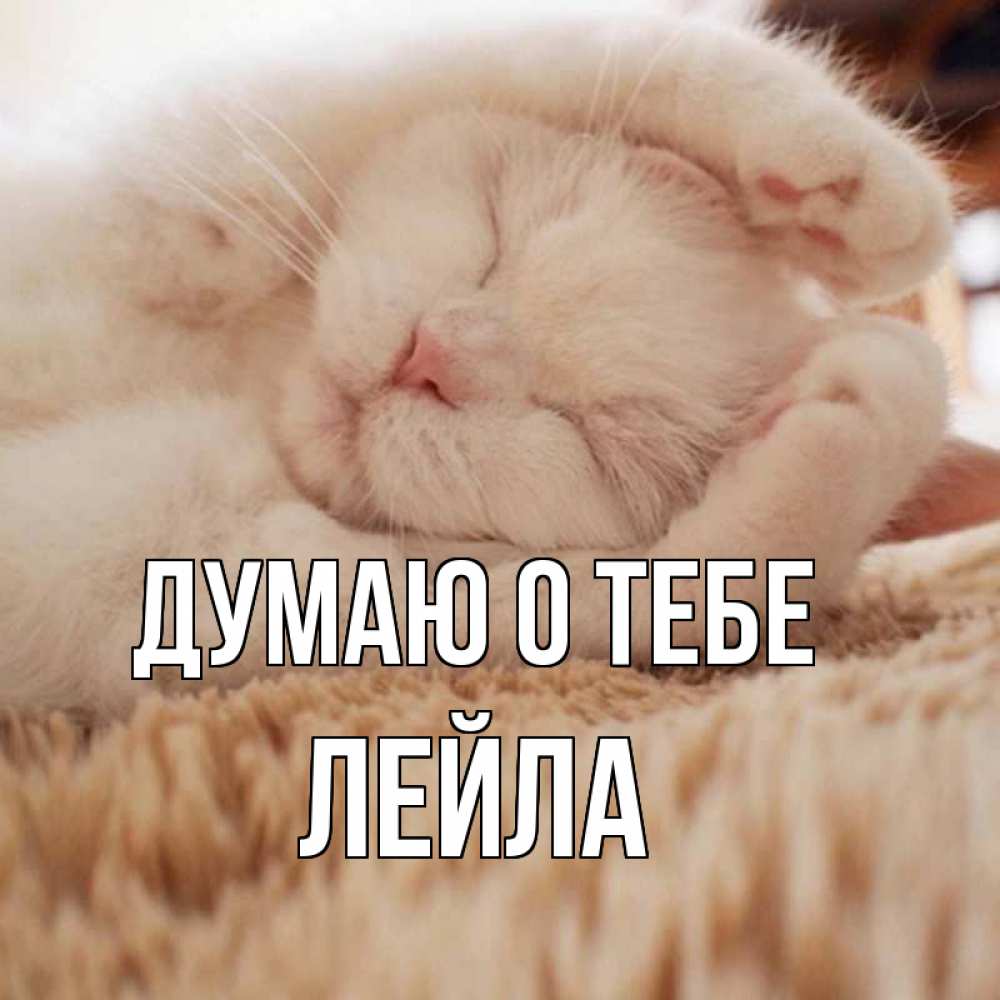 Открытка на каждый день с именем, Лейла Думаю о тебе для любимой девушки милота Прикольная открытка с пожеланием онлайн скачать бесплатно 