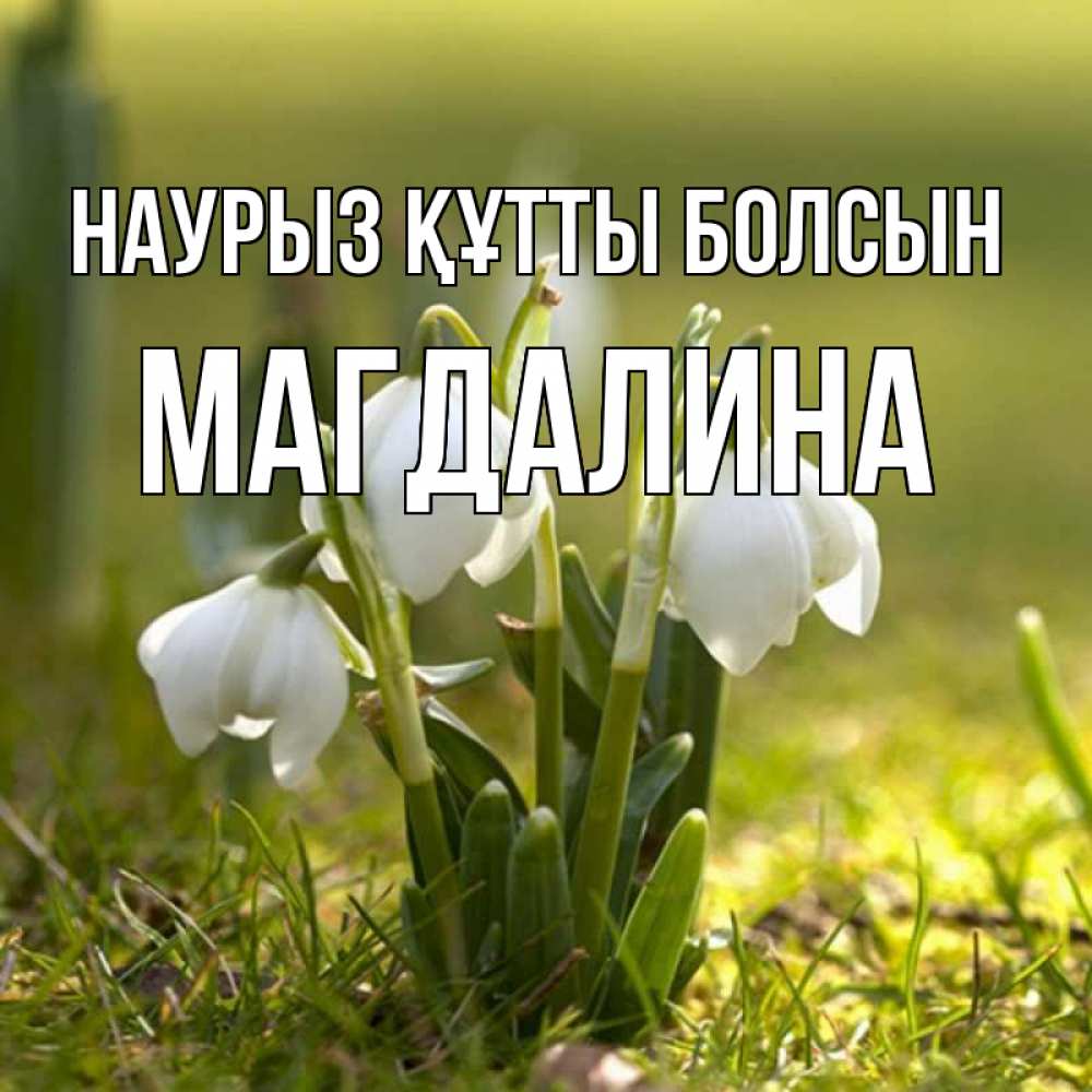 Открытка на каждый день с именем, Магдалина Наурыз құтты болсын ранние цветы 2 Прикольная открытка с пожеланием онлайн скачать бесплатно 