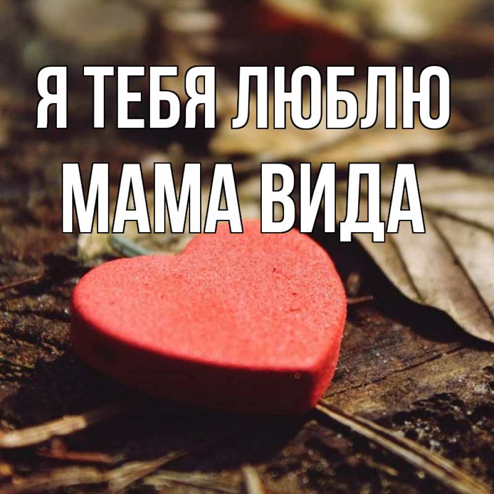 Открытка на каждый день с именем, Мама-Вида Я тебя люблю листья деревье 4 Прикольная открытка с пожеланием онлайн скачать бесплатно 