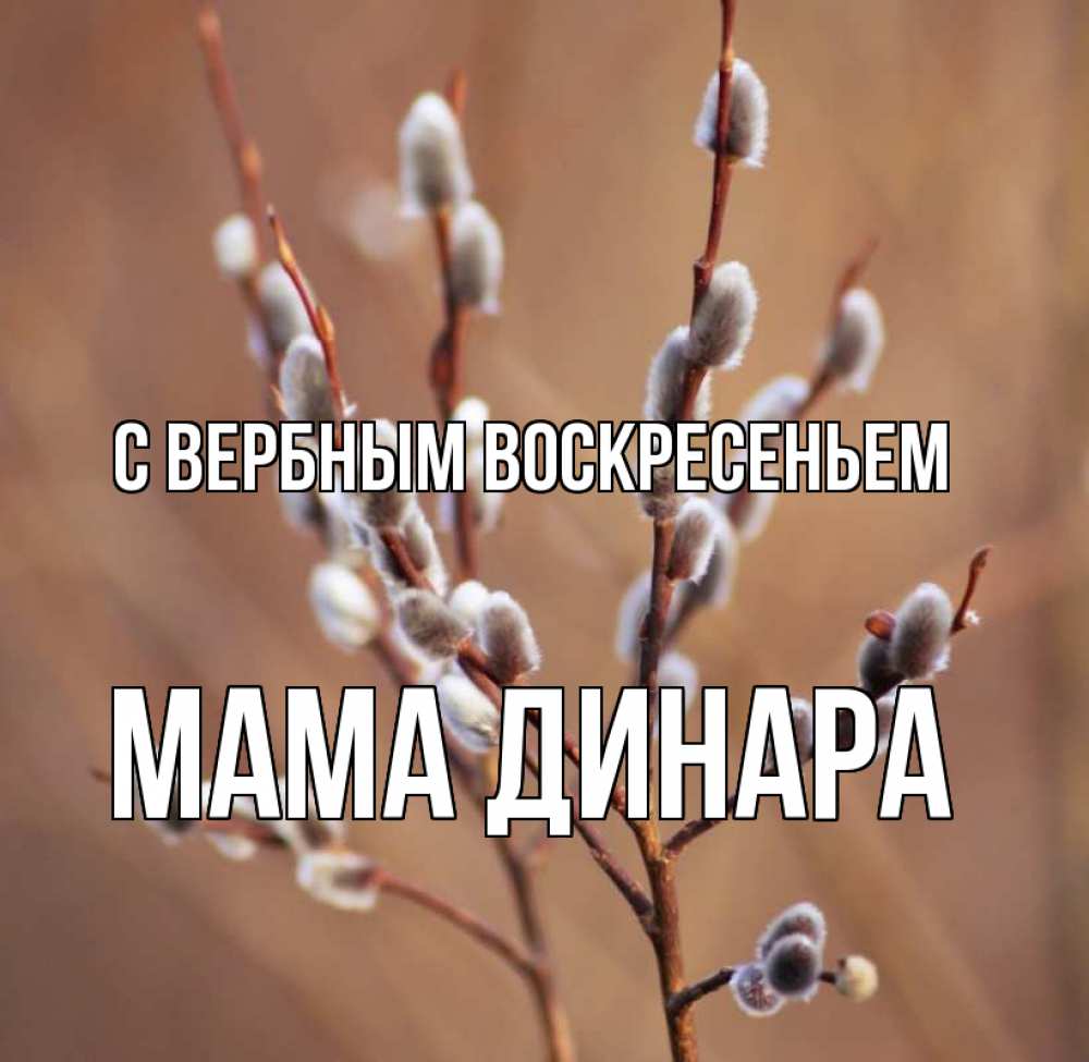 Открытка на каждый день с именем, Мама-Динара С вербным воскресеньем верба Прикольная открытка с пожеланием онлайн скачать бесплатно 