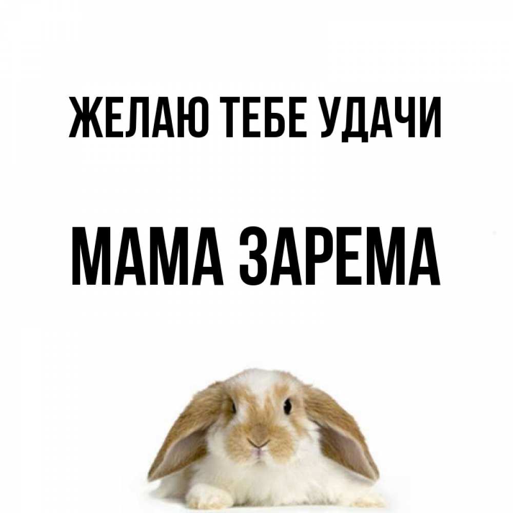 Открытка на каждый день с именем, Мама-Зарема Желаю тебе удачи открытки с произвольным текстом который можно вставить в открытку и создать ее самостоятельно бесплатно онлайн Прикольная открытка с пожеланием онлайн скачать бесплатно 
