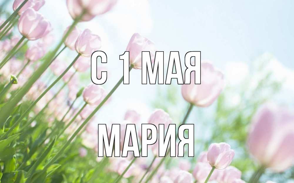 Открытка на каждый день с именем, Мария С 1 мая С 1 мая Прикольная открытка с пожеланием онлайн скачать бесплатно 