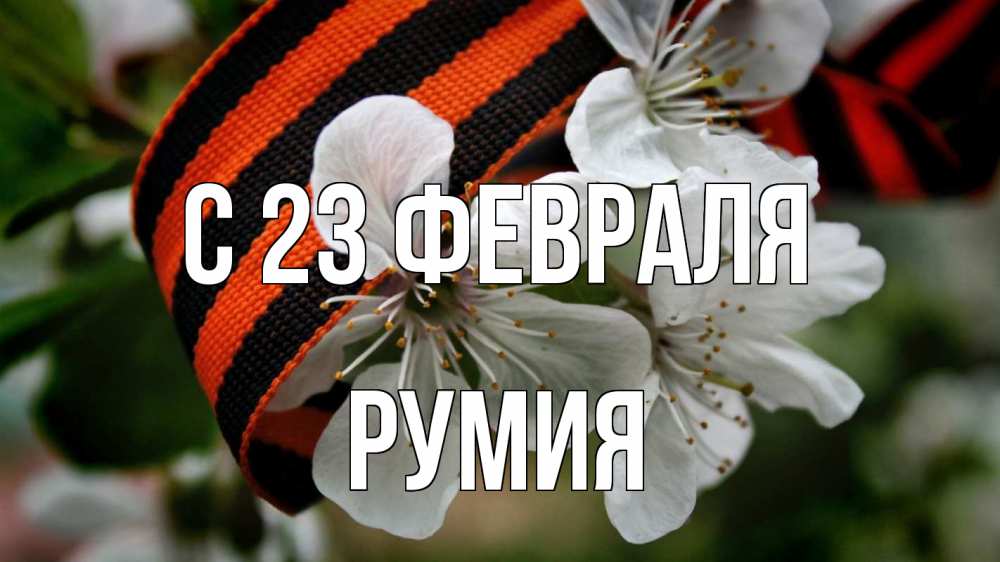 Открытка на каждый день с именем, Румия С 23 февраля 23 февраля Прикольная открытка с пожеланием онлайн скачать бесплатно 