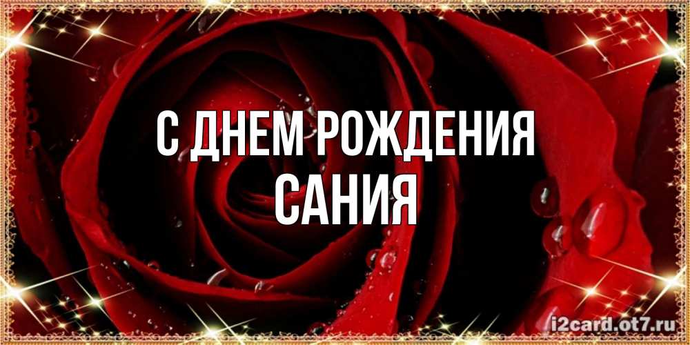 Открытка на каждый день с именем, Сания С днем рождения цветок в росе на день рождения Прикольная открытка с пожеланием онлайн скачать бесплатно 