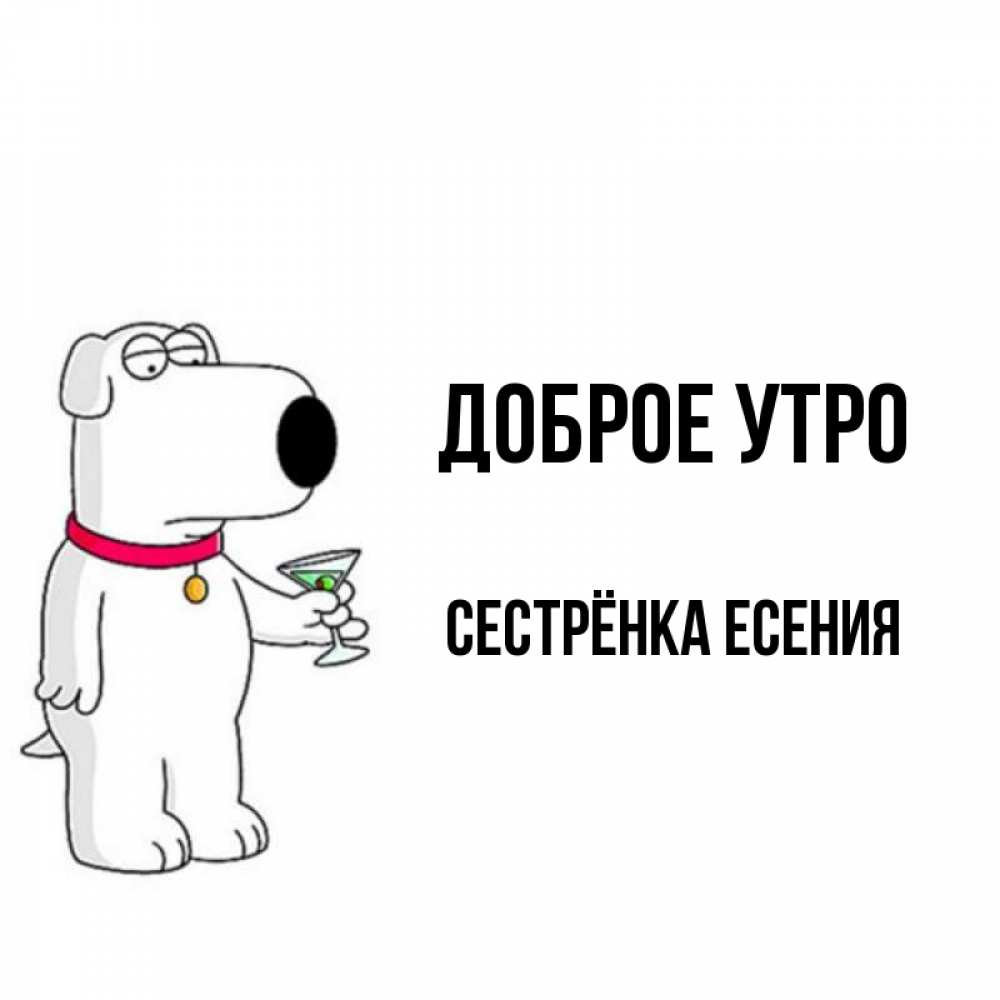 Открытка на каждый день с именем, Сестрёнка-Есения Доброе утро герои мультфильмов белый пес Прикольная открытка с пожеланием онлайн скачать бесплатно 