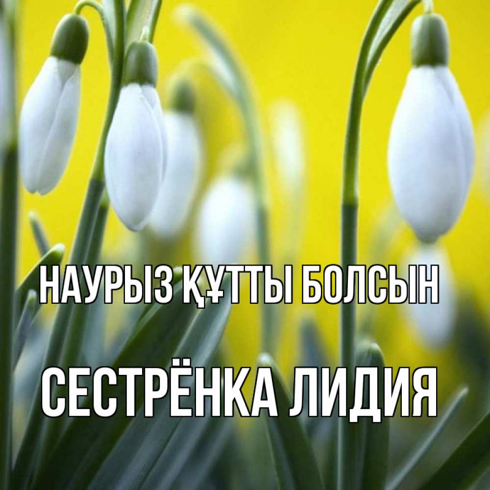 Картинка Наурыз құтты болсын, Сестрёнка Лидия