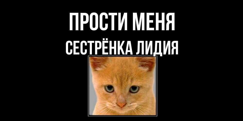 Открытка на каждый день с именем, Сестрёнка-Лидия Прости меня рыжий грустный кот просит прощения Прикольная открытка с пожеланием онлайн скачать бесплатно 