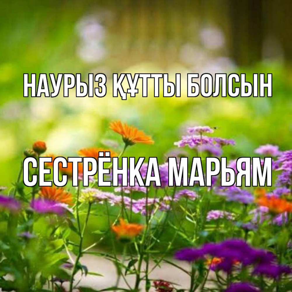 Открытка на каждый день с именем, Сестрёнка-Марьям Наурыз құтты болсын цветы Прикольная открытка с пожеланием онлайн скачать бесплатно 