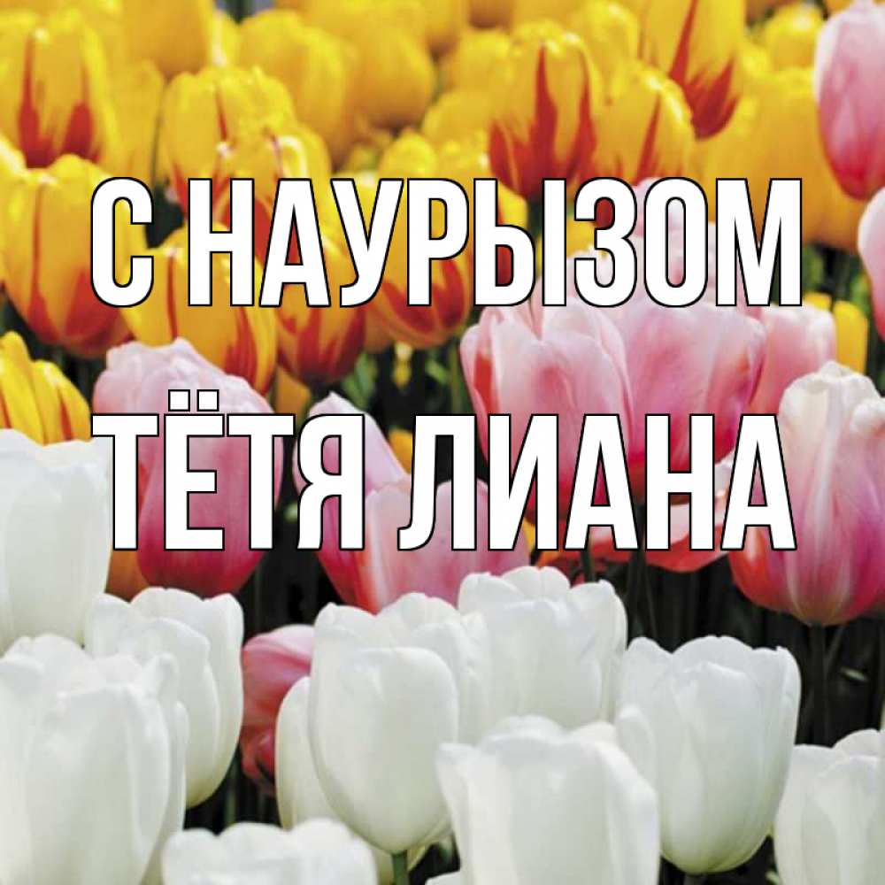 Открытка на каждый день с именем, Тётя-Лиана С наурызом разноцветные цветы Прикольная открытка с пожеланием онлайн скачать бесплатно 