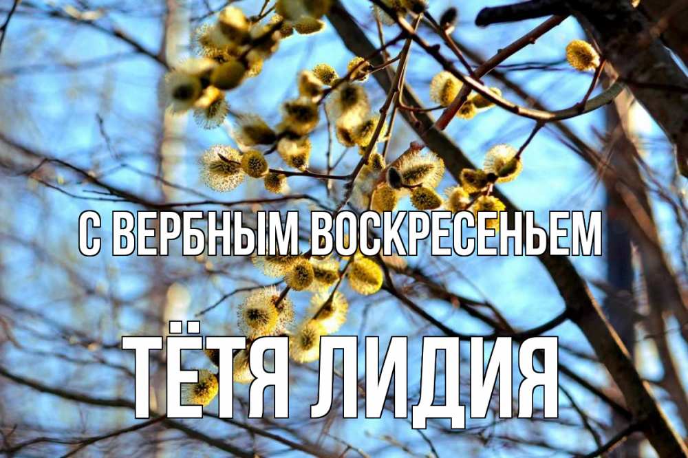 Открытка на каждый день с именем, Тётя-Лидия С вербным воскресеньем верба Прикольная открытка с пожеланием онлайн скачать бесплатно 