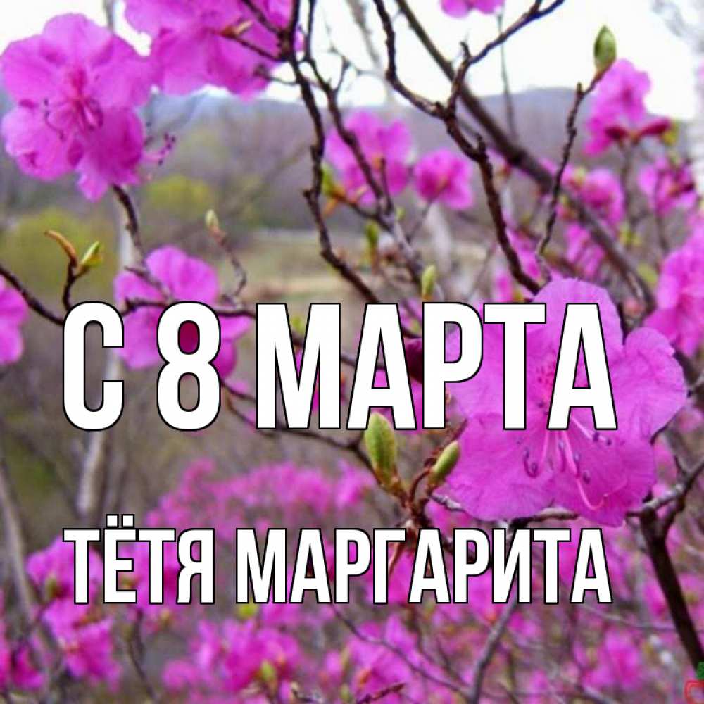 Открытка на каждый день с именем, Тётя-Маргарита С 8 МАРТА международный женский день Прикольная открытка с пожеланием онлайн скачать бесплатно 