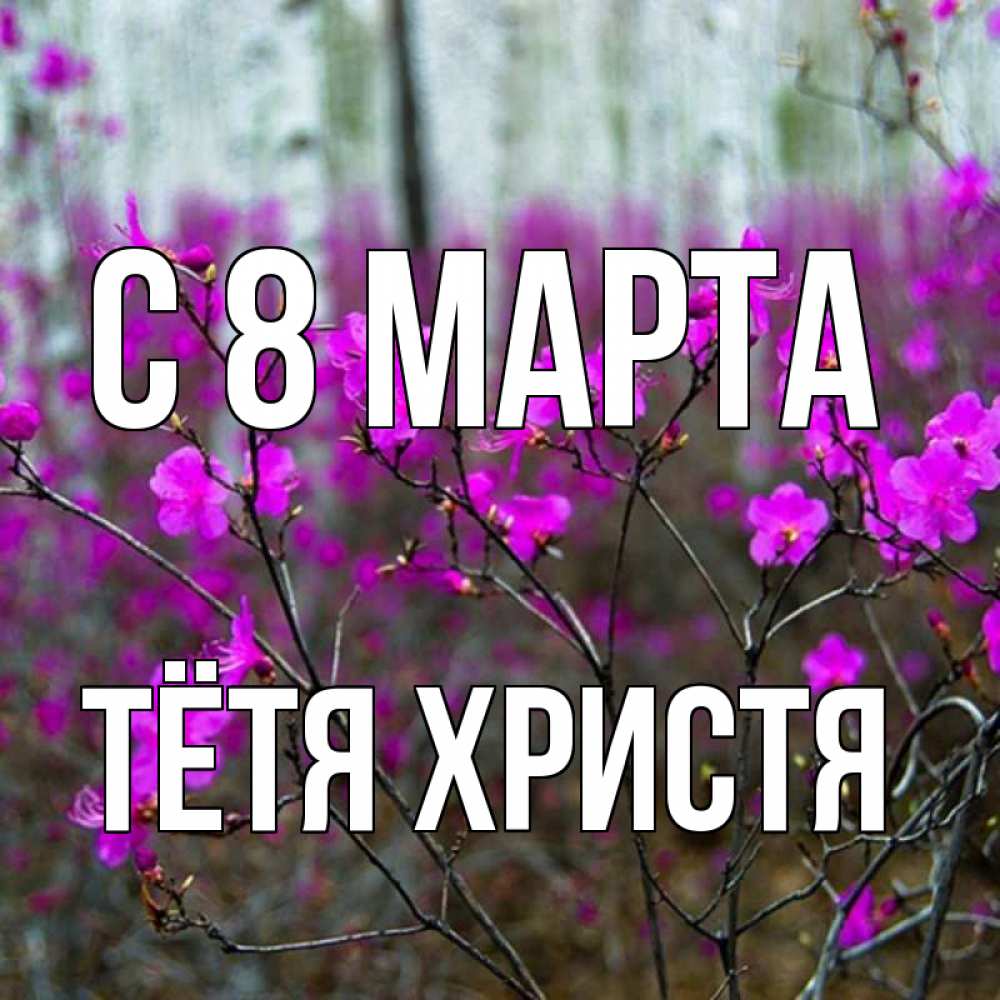 Открытка на каждый день с именем, Тётя-Христя С 8 МАРТА дикие цветы Прикольная открытка с пожеланием онлайн скачать бесплатно 