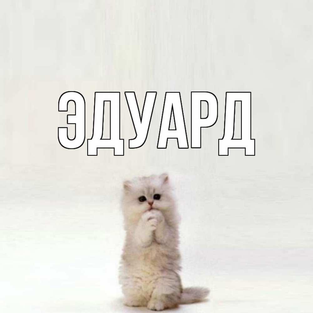Открытка на каждый день с именем, Эдуард Главная кот стоит на задних лапах Прикольная открытка с пожеланием онлайн скачать бесплатно 