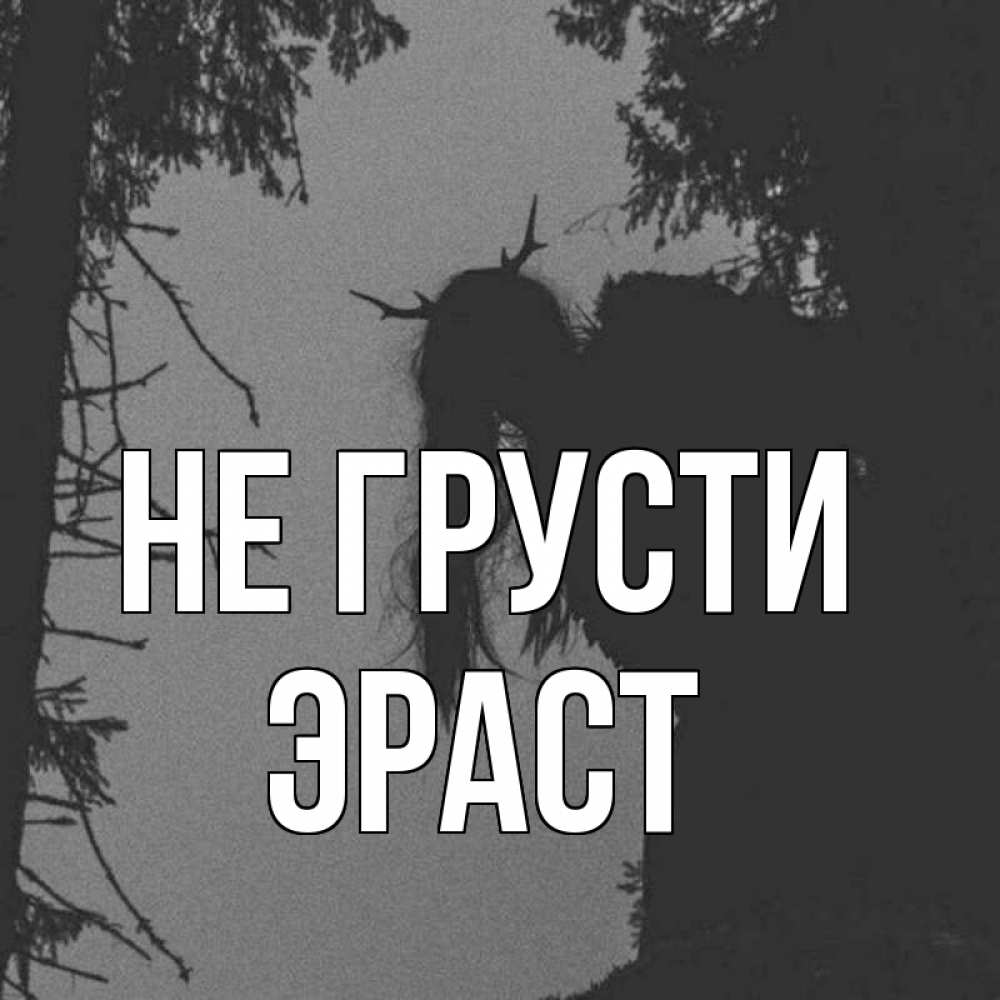 Открытка на каждый день с именем, Эраст Не грусти чудище лесное Прикольная открытка с пожеланием онлайн скачать бесплатно 
