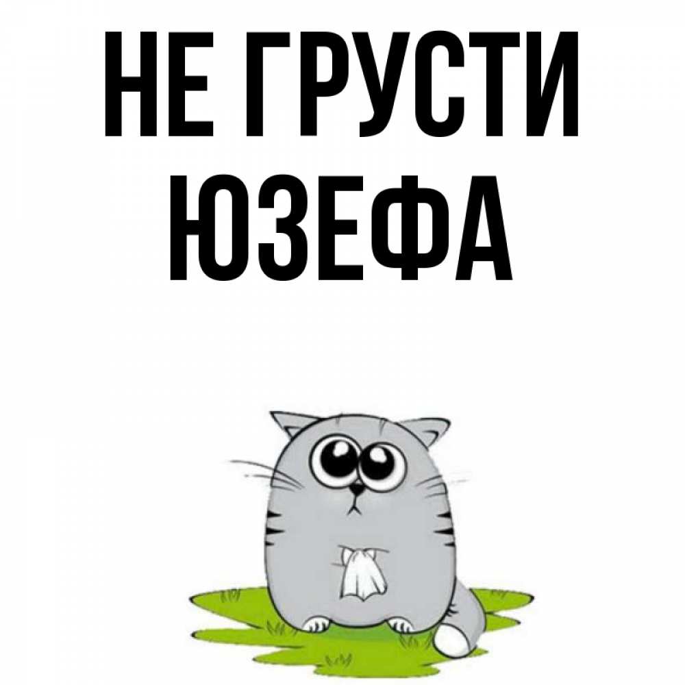 Открытка на каждый день с именем, Юзефа Не грусти грустный котяра Прикольная открытка с пожеланием онлайн скачать бесплатно 