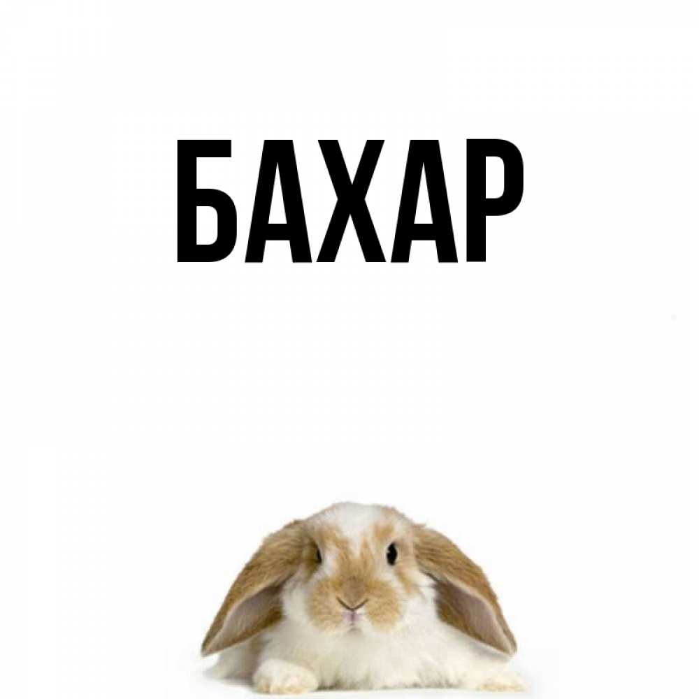 Открытка на каждый день с именем, Бахар Главная открытки с произвольным текстом который можно вставить в открытку и создать ее самостоятельно бесплатно онлайн Прикольная открытка с пожеланием онлайн скачать бесплатно 