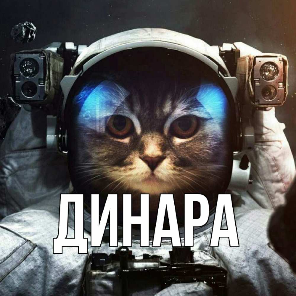 Открытка на каждый день с именем, Динара Главная желает удачно добраться Прикольная открытка с пожеланием онлайн скачать бесплатно 