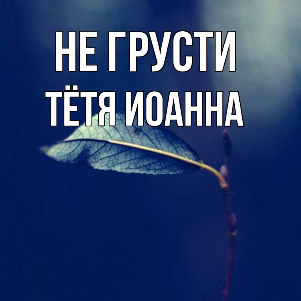 Открытка на каждый день с именем, Тётя-Иоанна Не грусти растение Прикольная открытка с пожеланием онлайн скачать бесплатно 
