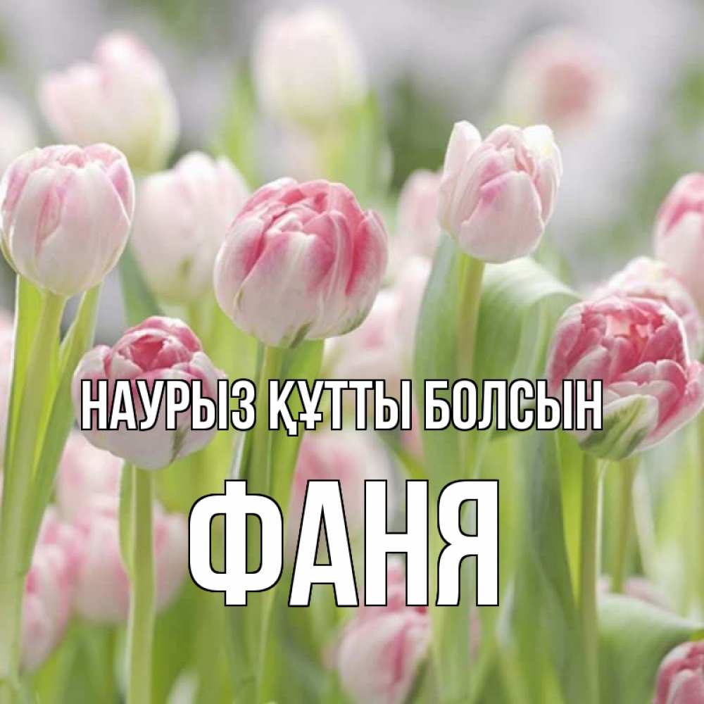 Открытка на каждый день с именем, Фаня Наурыз құтты болсын цветы Прикольная открытка с пожеланием онлайн скачать бесплатно 