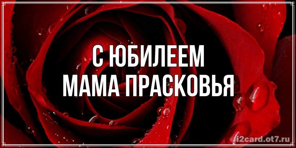 Открытка на каждый день с именем, Мама-Прасковья С юбилеем крупная бордовая роза Прикольная открытка с пожеланием онлайн скачать бесплатно 