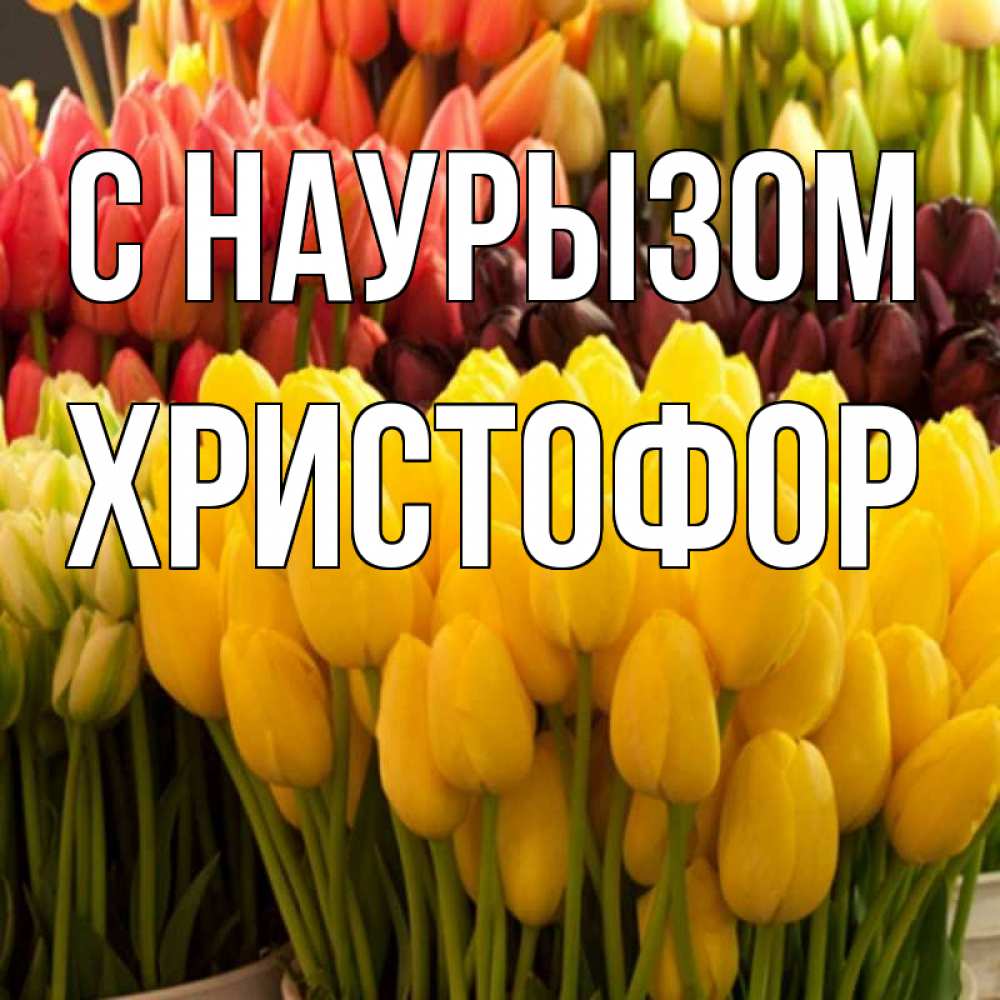 Открытка на каждый день с именем, Христофор С наурызом цветы Прикольная открытка с пожеланием онлайн скачать бесплатно 