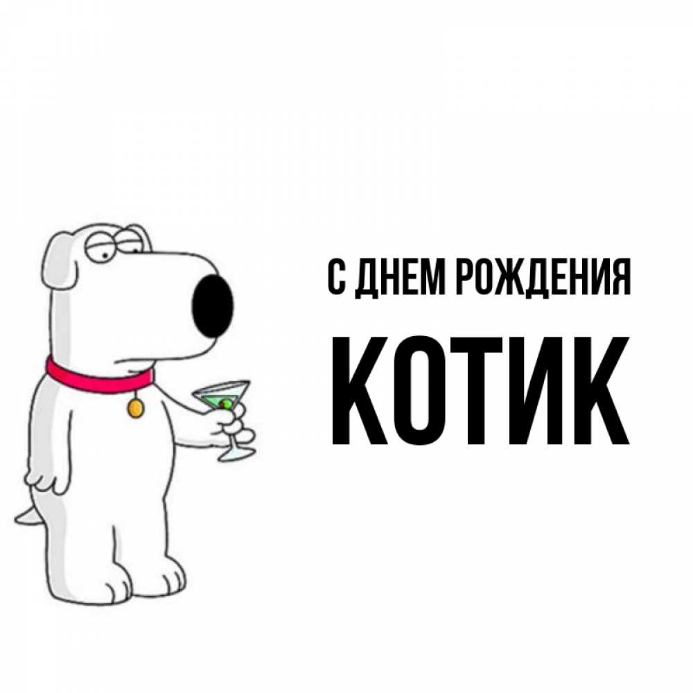 Открытка на каждый день с именем, КОТИК С днем рождения песик с оливками Прикольная открытка с пожеланием онлайн скачать бесплатно 