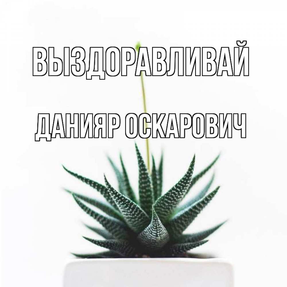 Картинка Выздоравливай, Данияр Оскарович