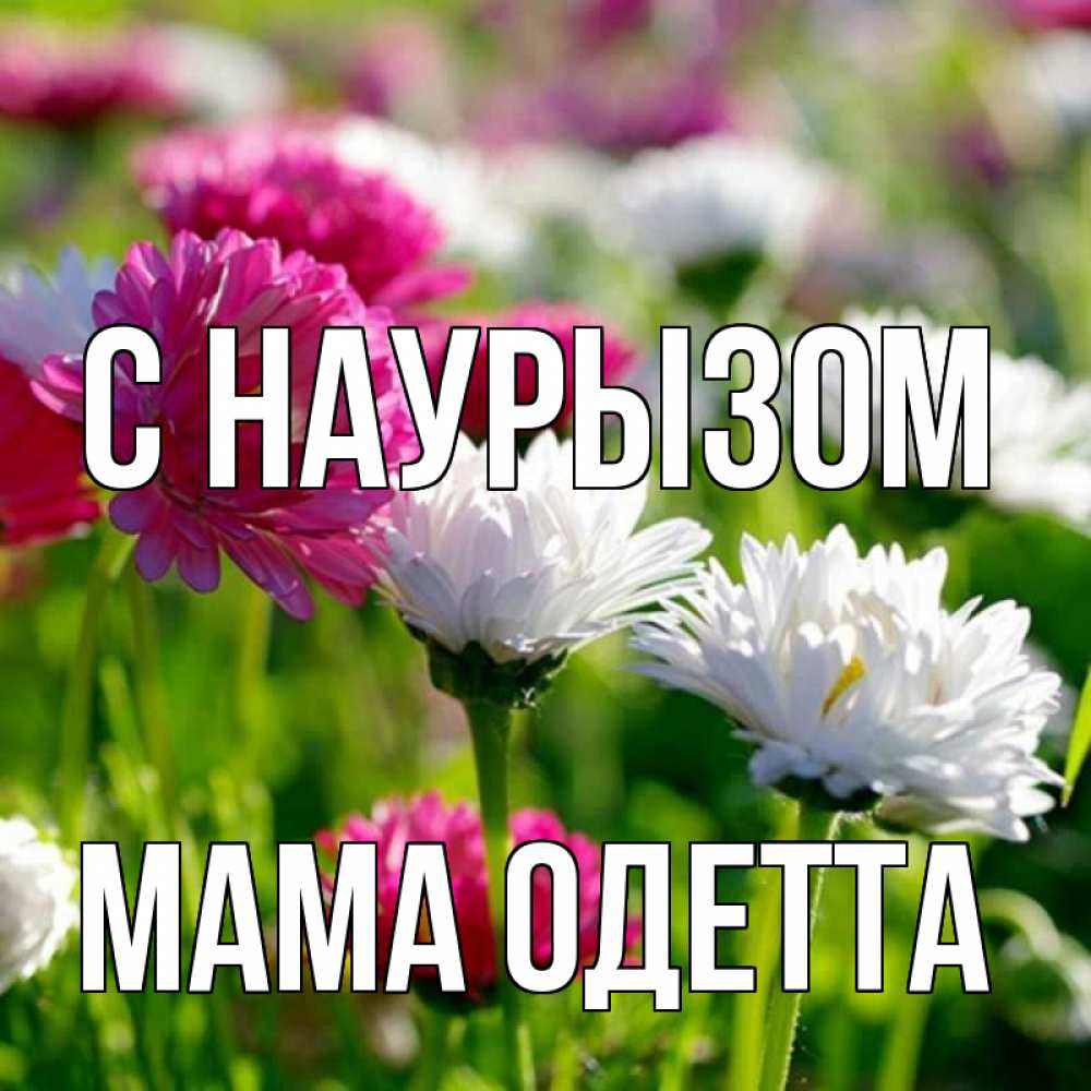 Открытка на каждый день с именем, Мама-Одетта С наурызом праздник весны наурыз красота Прикольная открытка с пожеланием онлайн скачать бесплатно 
