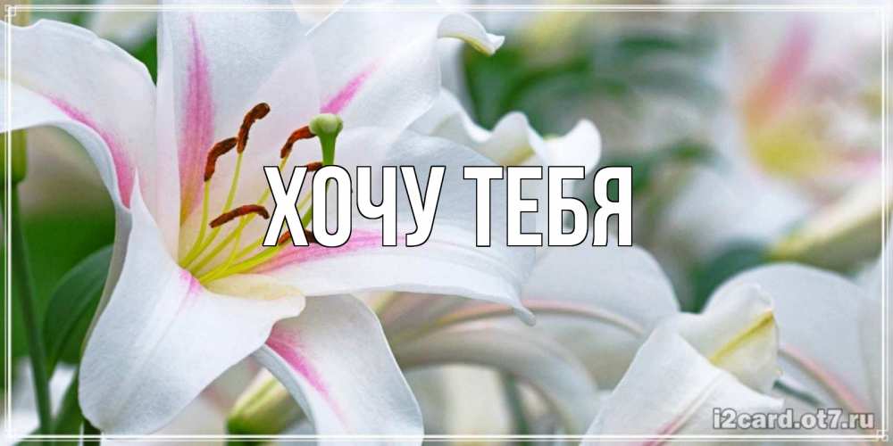 Картинка  с именем , Хочу тебя