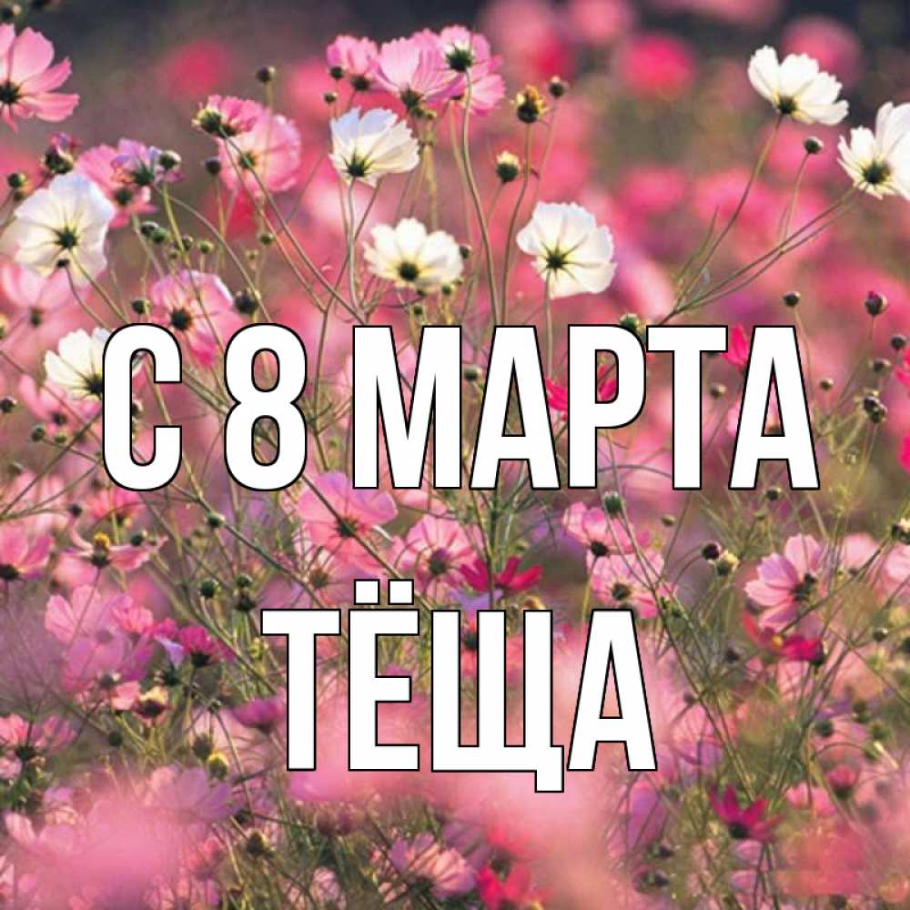 Картинка С 8 МАРТА, Тёща