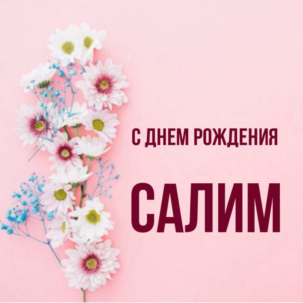 С днем рождения салим картинки