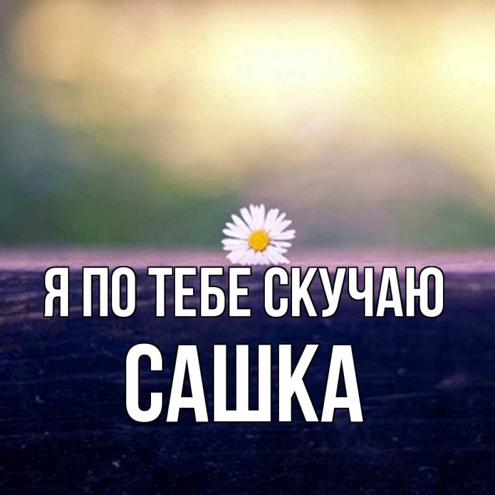 Картинка Я по тебе скучаю, Сашка