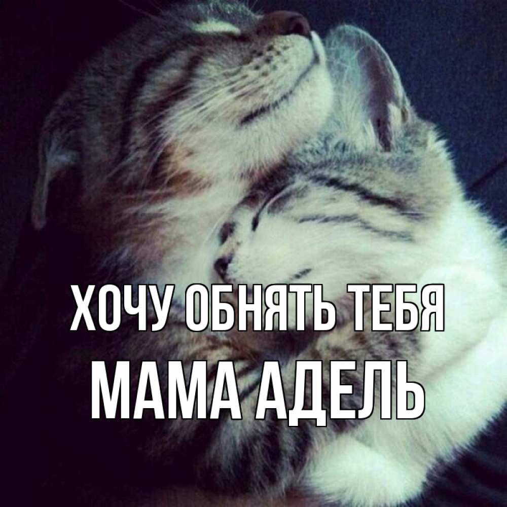 Открытка на каждый день с именем, Мама-Адель Хочу обнять тебя полосатики Прикольная открытка с пожеланием онлайн скачать бесплатно 