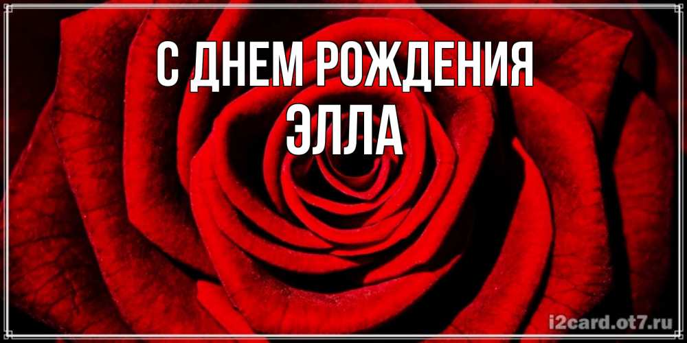 Открытка на каждый день с именем, Элла С днем рождения алая роза Прикольная открытка с пожеланием онлайн скачать бесплатно 