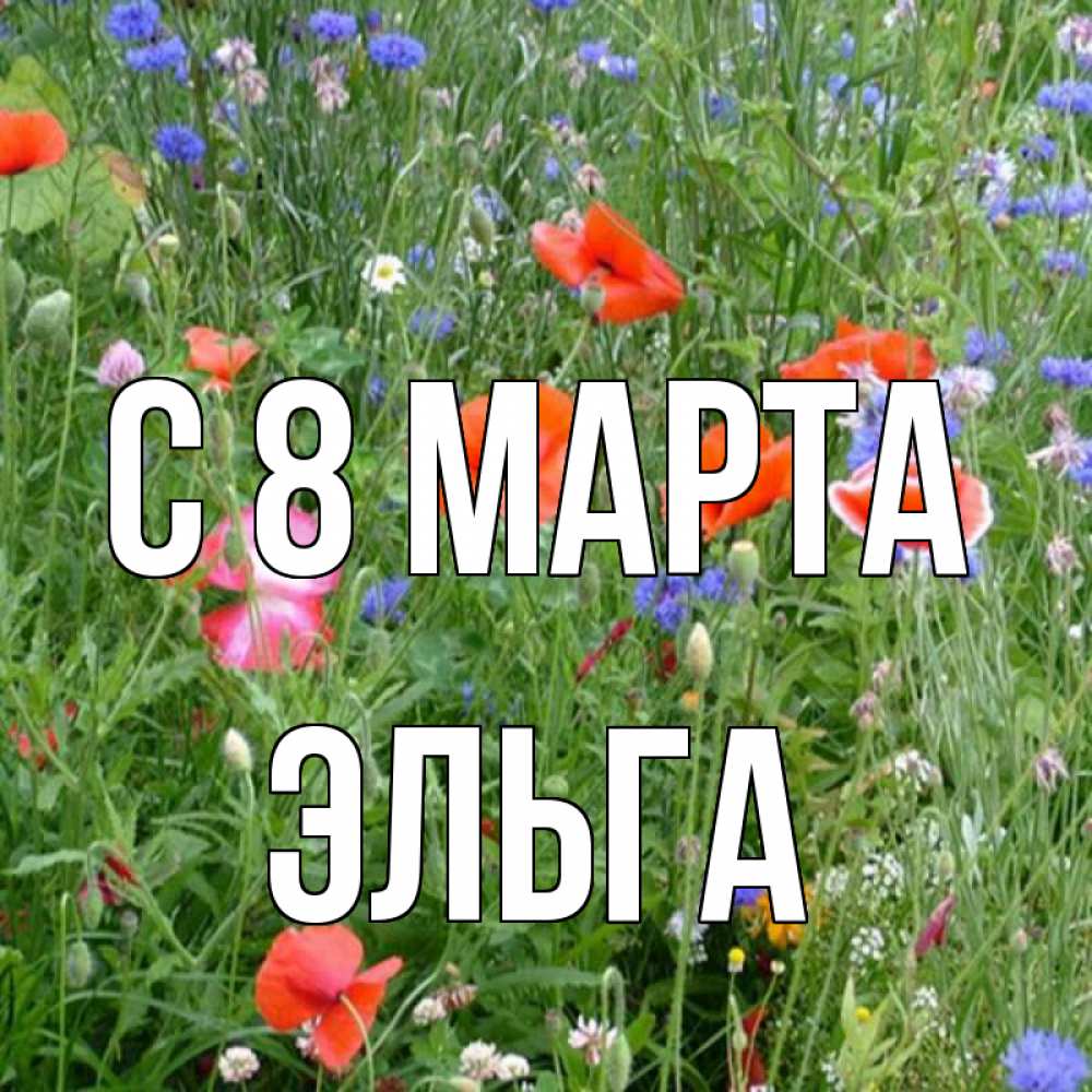 Открытка на каждый день с именем, Эльга С 8 МАРТА международный женский день 4 Прикольная открытка с пожеланием онлайн скачать бесплатно 
