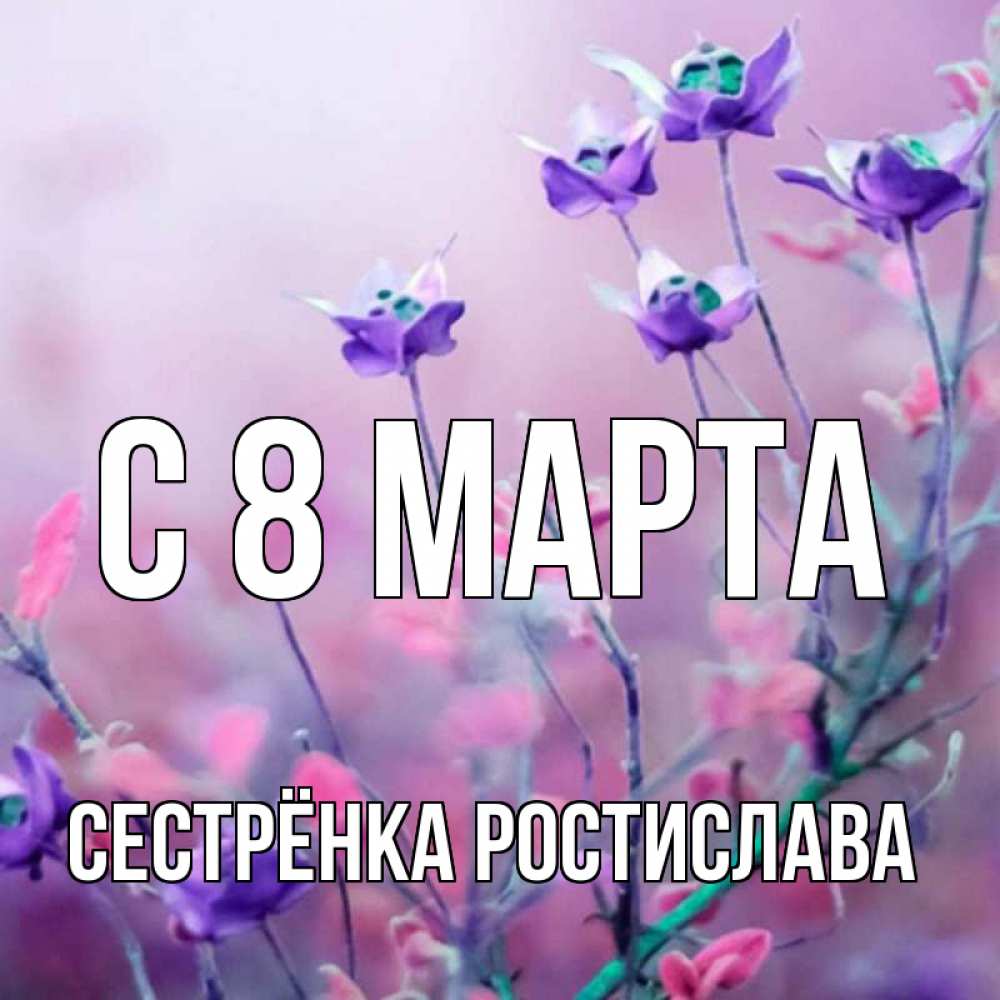 Открытка на каждый день с именем, Сестрёнка-Ростислава С 8 МАРТА международный женский день 2 Прикольная открытка с пожеланием онлайн скачать бесплатно 