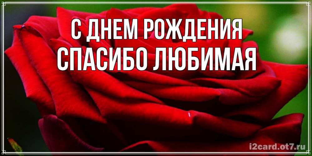 Картинка С днем рождения, Спасибо любимая