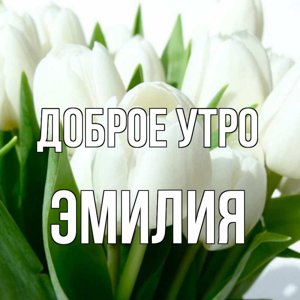 Открытка на каждый день с именем, Эмилия Доброе утро открытки на каждый день по именам Прикольная открытка с пожеланием онлайн скачать бесплатно 