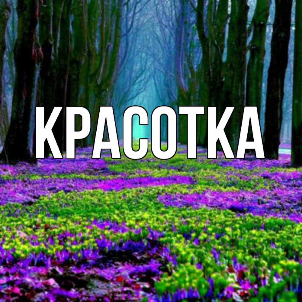 Открытка на каждый день с именем, красотка Главная фиолетовые цветы в лесу 1 Прикольная открытка с пожеланием онлайн скачать бесплатно 