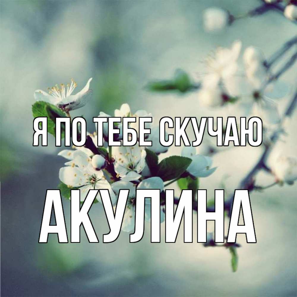 Открытка на каждый день с именем, Акулина Я по тебе скучаю весна Прикольная открытка с пожеланием онлайн скачать бесплатно 