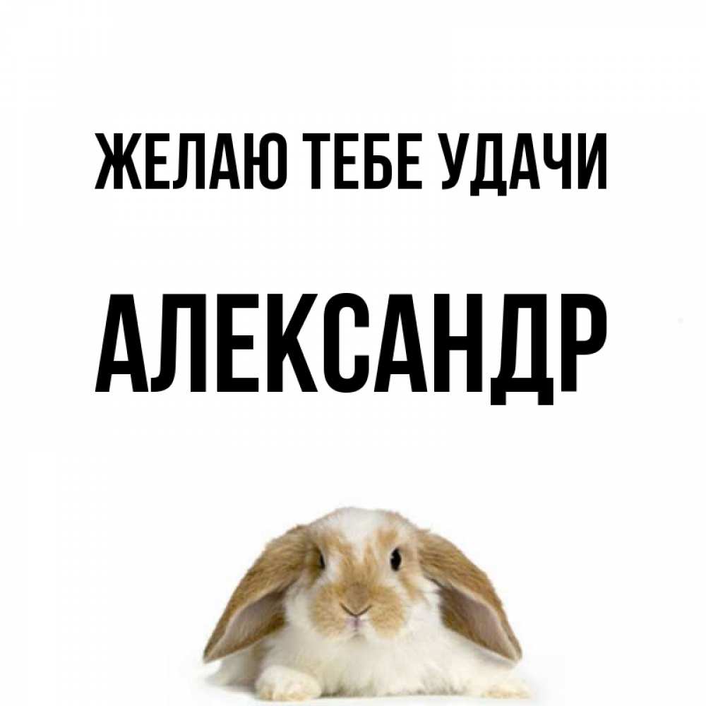 Открытка на каждый день с именем, Александр Желаю тебе удачи открытки с произвольным текстом который можно вставить в открытку и создать ее самостоятельно бесплатно онлайн Прикольная открытка с пожеланием онлайн скачать бесплатно 