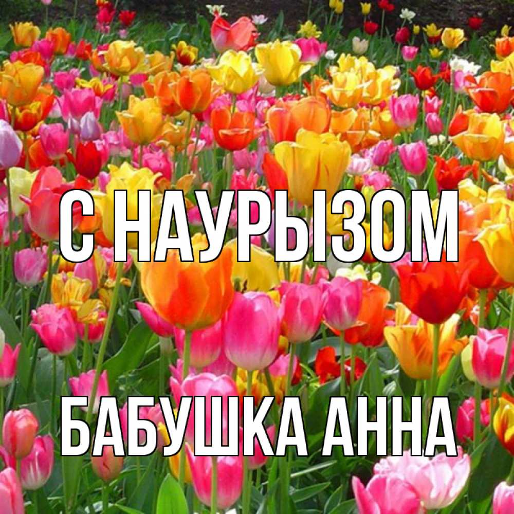 Открытка на каждый день с именем, Бабушка-Анна С наурызом праздник весны наурыз 4 Прикольная открытка с пожеланием онлайн скачать бесплатно 