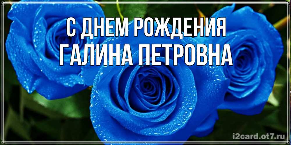 Открытка на каждый день с именем, Галина-Петровна С днем рождения розы с синим цветом Прикольная открытка с пожеланием онлайн скачать бесплатно 