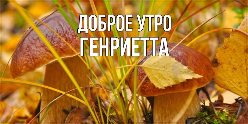 Открытка на каждый день с именем, Генриетта Доброе утро осенние грибы Прикольная открытка с пожеланием онлайн скачать бесплатно 