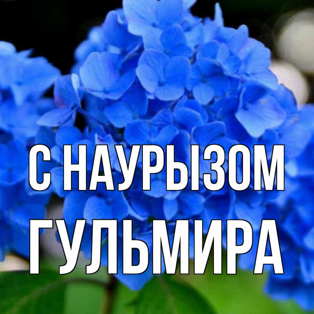 Открытка на каждый день с именем, Гульмира С наурызом синие цветы Прикольная открытка с пожеланием онлайн скачать бесплатно 